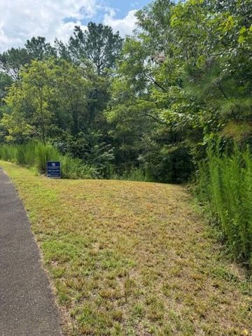 LT 43&44 Reece Mountain Road, Ellijay, GA 30536