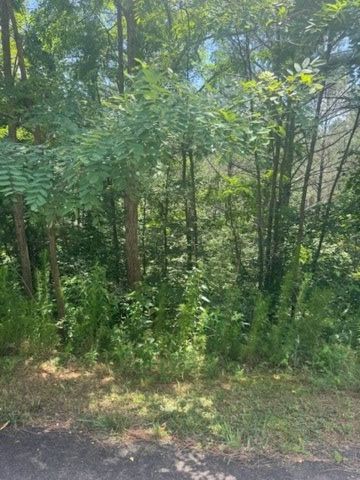 LT 43&44 Reece Mountain Road, Ellijay, GA 30536