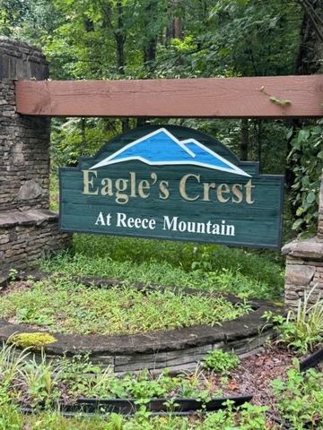 LT 43&44 Reece Mountain Road, Ellijay, GA 30536