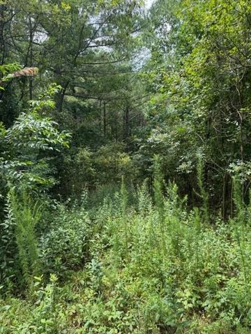 LT 43&44 Reece Mountain Road, Ellijay, GA 30536