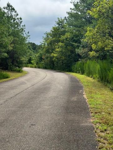 LT 43&44 Reece Mountain Road, Ellijay, GA 30536