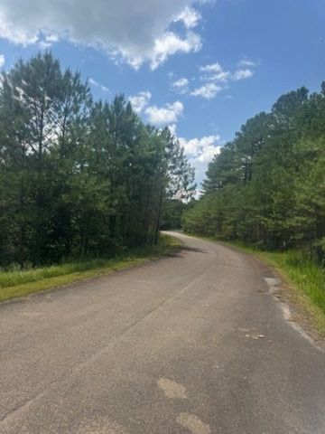 LT 43&44 Reece Mountain Road, Ellijay, GA 30536