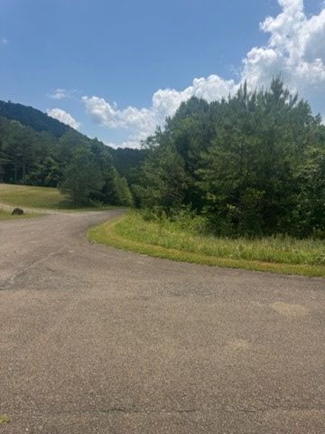 LT 43&44 Reece Mountain Road, Ellijay, GA 30536