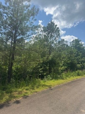 LT 43&44 Reece Mountain Road, Ellijay, GA 30536