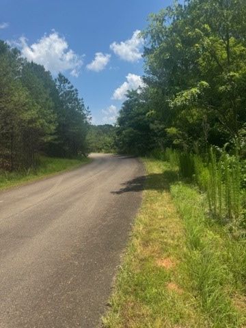 LT 43&44 Reece Mountain Road, Ellijay, GA 30536