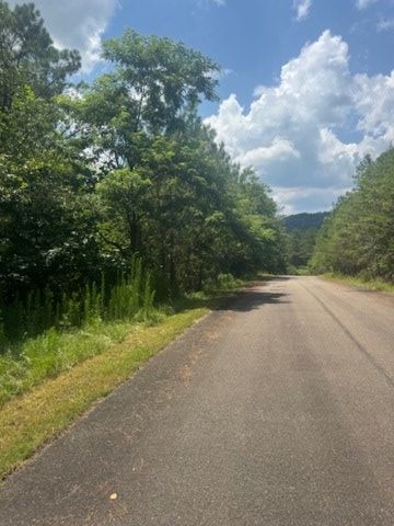 LT 43&44 Reece Mountain Road, Ellijay, GA 30536