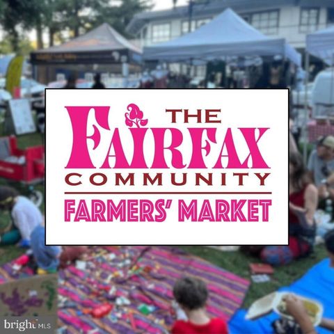 11123 BYRD DR, Fairfax, VA 22030