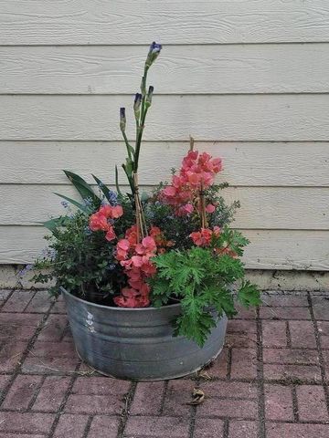 7350 Carter Avenue, Newark, CA 94560