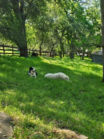 10563 Rim View Circle, Auburn, CA 95603