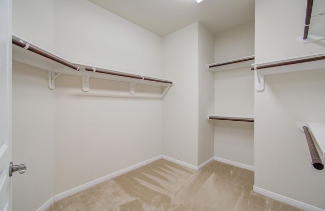 15702 Giant Pine Lane, Cypress, TX 77429