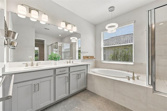 1801 GOBLET COVE STREET, Kissimmee, FL 34746