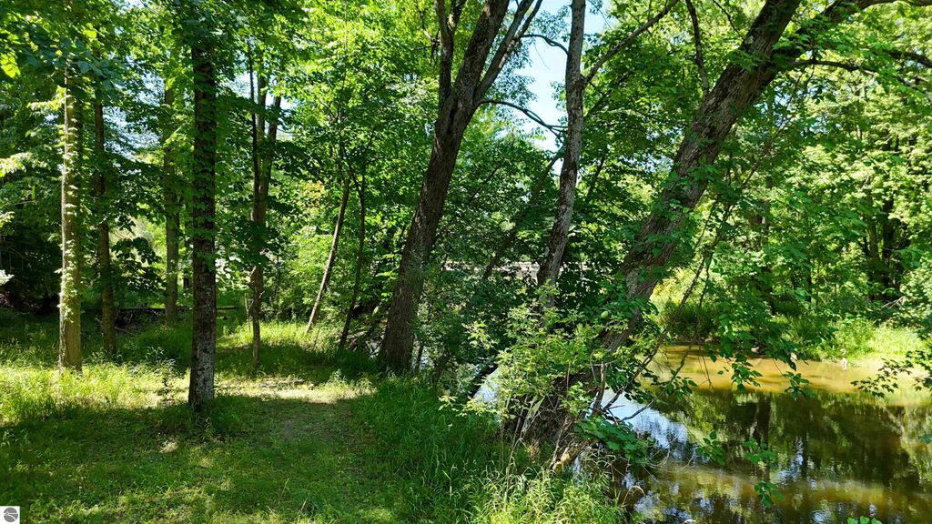 Image 40 of property listing at 429 S Geneva Road, Shepherd, MI 48883