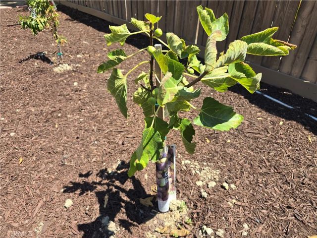 23531 Hobart Court, Murrieta, CA 92562