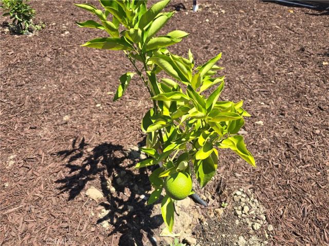 23531 Hobart Court, Murrieta, CA 92562