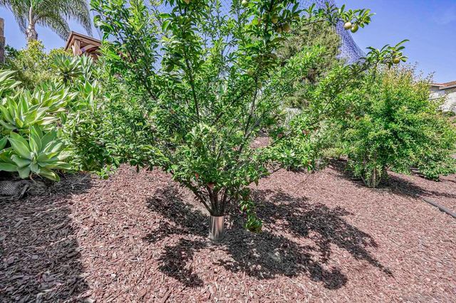 5241 Alamosa Park Dr, Oceanside, CA 92057