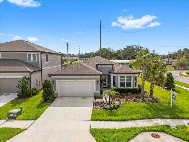 783 LITTLE CLOUD PLACE, Valrico, FL 33594