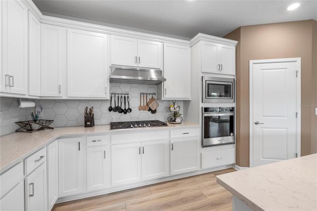 783 LITTLE CLOUD PLACE, Valrico, FL 33594