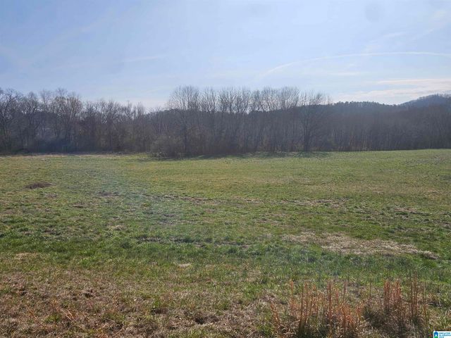 1150 RIVER ROAD, Heflin, AL 36264