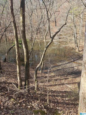 1150 RIVER ROAD, Heflin, AL 36264