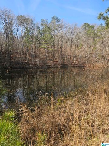 1150 RIVER ROAD, Heflin, AL 36264