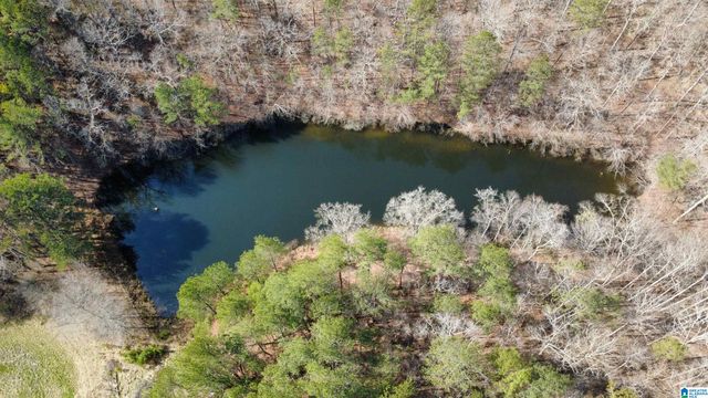 1150 RIVER ROAD, Heflin, AL 36264