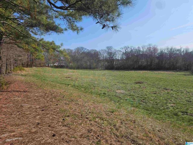 1150 RIVER ROAD, Heflin, AL 36264