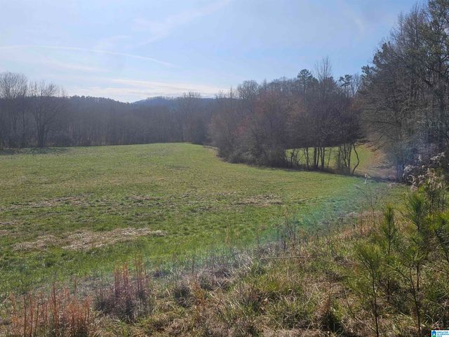 1150 RIVER ROAD, Heflin, AL 36264