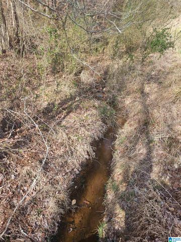 1150 RIVER ROAD, Heflin, AL 36264