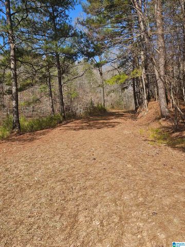 1150 RIVER ROAD, Heflin, AL 36264