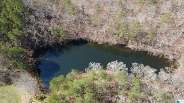 1150 RIVER ROAD, Heflin, AL 36264