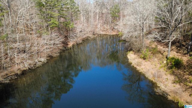 1150 RIVER ROAD, Heflin, AL 36264