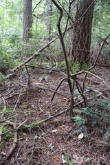 3659 Green Mountain Road NW, Bremerton, WA 98312