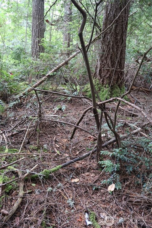 3659 Green Mountain Road NW, Bremerton, WA 98312