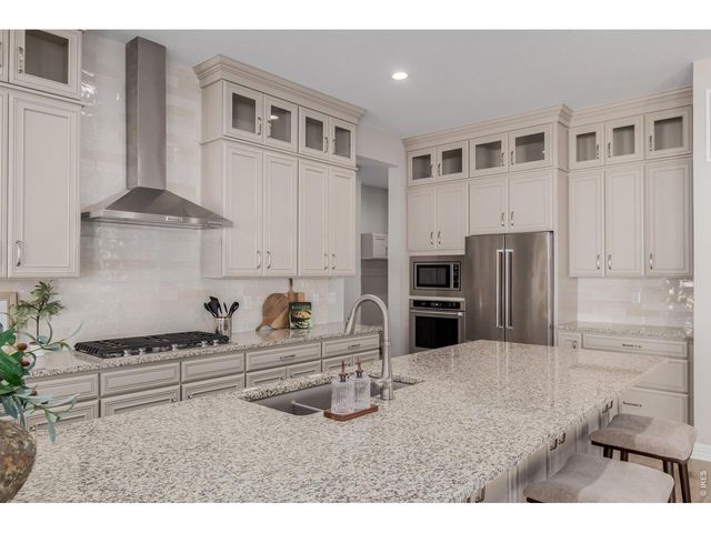 467 Scrubjay Trl, Castle Rock, CO 80104