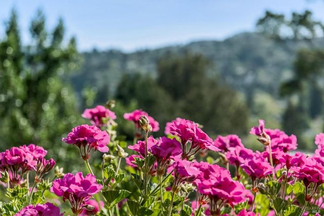 120 E Manor Dr, Mill Valley, CA 94941