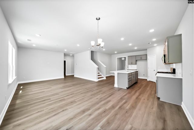 125 Monroe Preserve Lane, Chapin, SC 29036