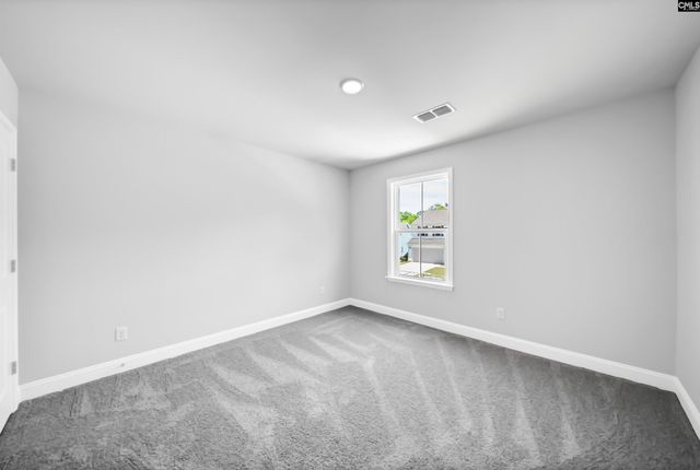 125 Monroe Preserve Lane, Chapin, SC 29036