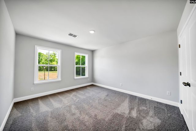 125 Monroe Preserve Lane, Chapin, SC 29036