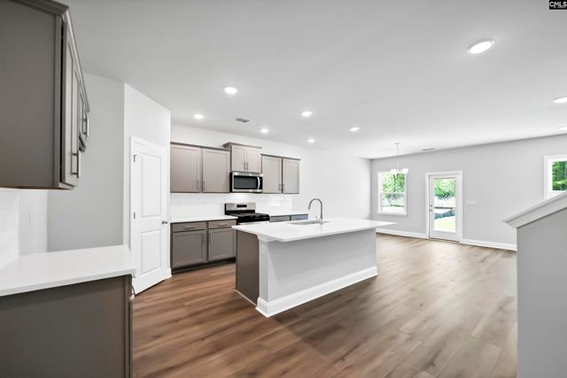 125 Monroe Preserve Lane, Chapin, SC 29036