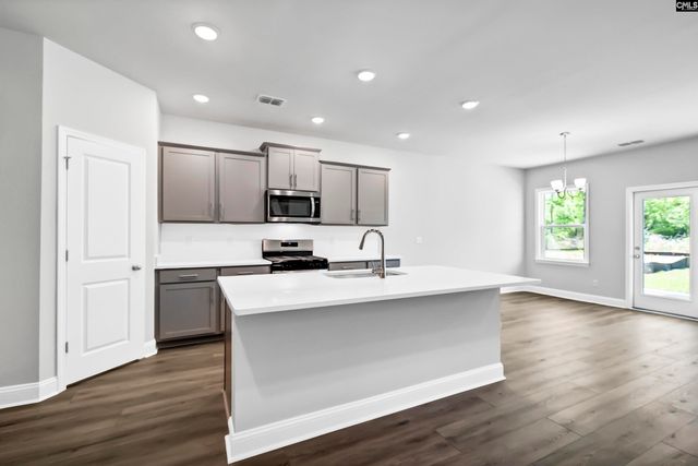 125 Monroe Preserve Lane, Chapin, SC 29036