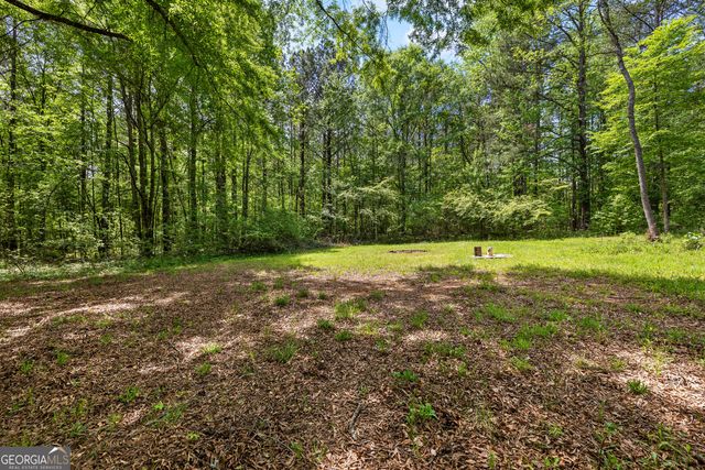 1480 Al Roberts Road, Senoia, GA 30276