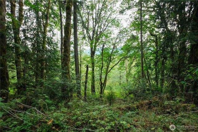 245 xx SE 146th Street, Issaquah, WA 98027