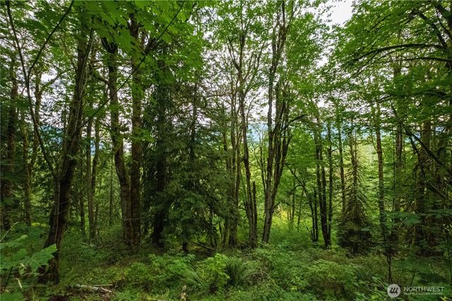 245 xx SE 146th Street, Issaquah, WA 98027