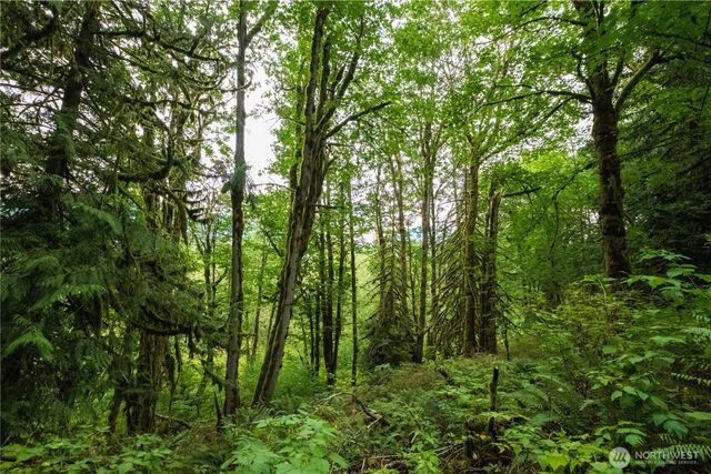 245 xx SE 146th Street, Issaquah, WA 98027
