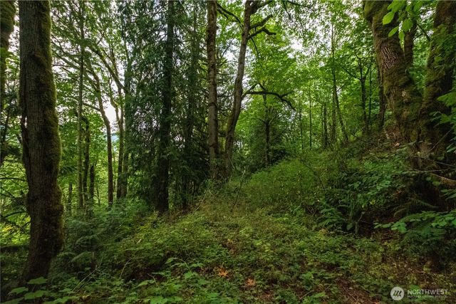 245 xx SE 146th Street, Issaquah, WA 98027