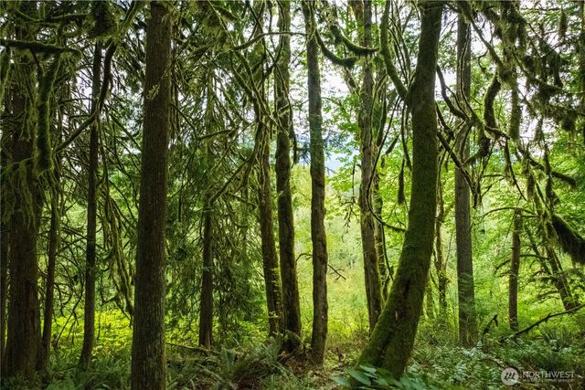 245 xx SE 146th Street, Issaquah, WA 98027
