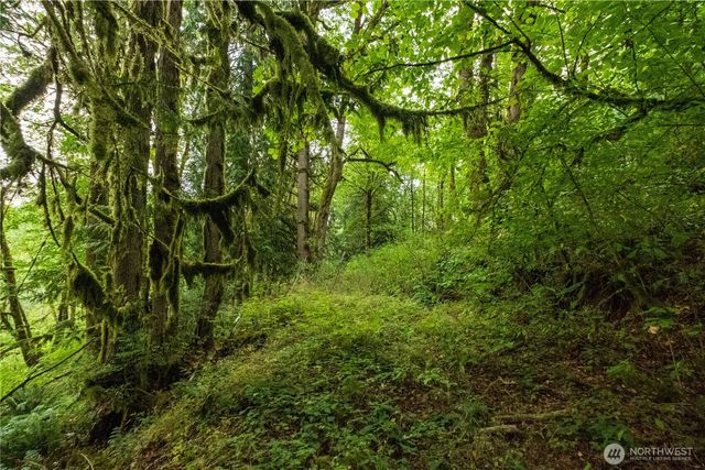 245 xx SE 146th Street, Issaquah, WA 98027