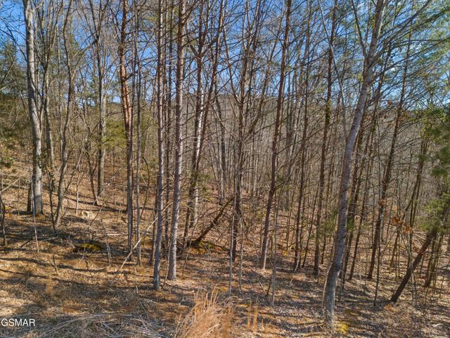53 Kenneth Overlook, Kodak, TN 37764