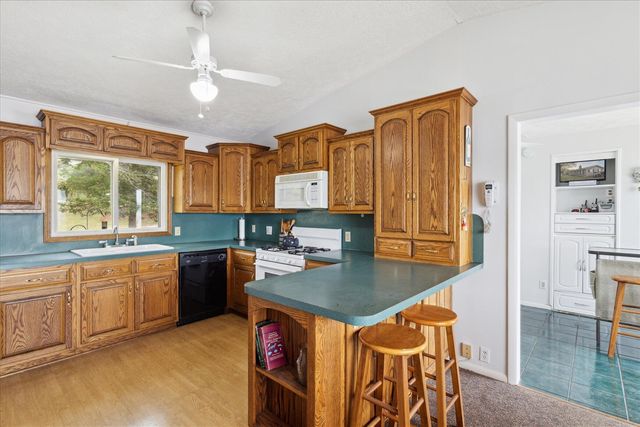 11361 W Cannonsville Road, Trufant, MI 49347