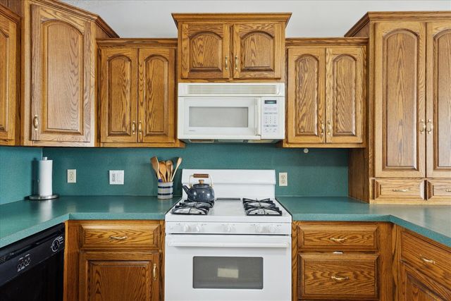11361 W Cannonsville Road, Trufant, MI 49347